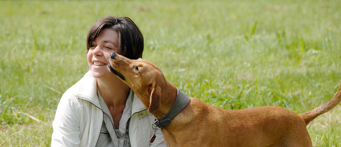 Tierkommunikation, Tiertelepathie