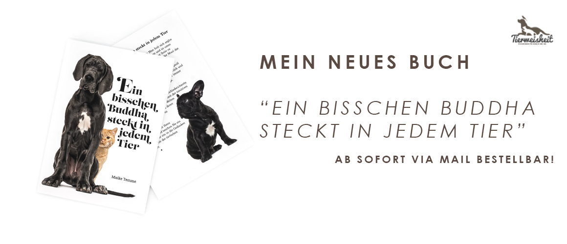 Spatziergang im Sonnenaufgang