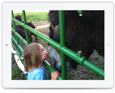 Maike Temme, Tierkommunikatorin